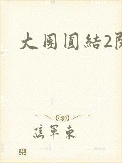 大团圆结2阅读