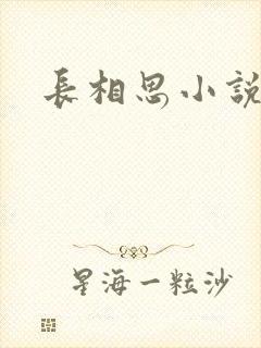 长相思小说原著