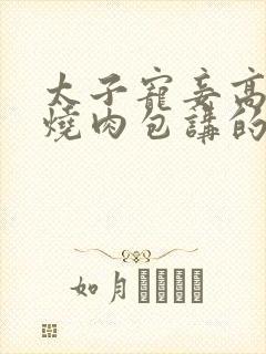 太子宠妾高肉红烧肉包讲的什么