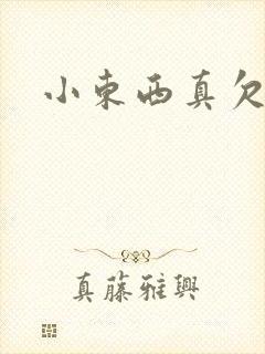 小东西真欠弄