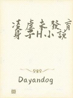 凌虐未发育的小身子H小说