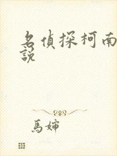 名侦探柯南h小说