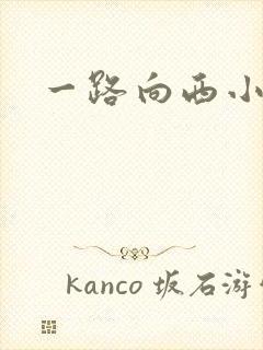一路向西小说
