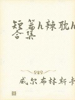 短篇h辣耽h文合集