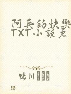 阿兵的快乐生活TXT小说免费阅读全章