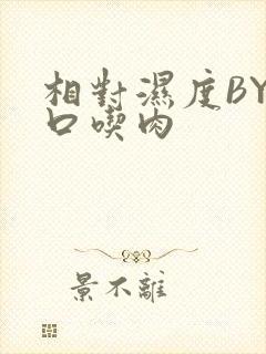 相对湿度BY大口吃肉