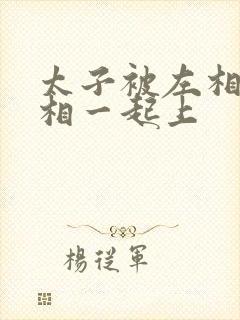 太子被左相和右相一起上