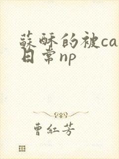 苏酥的被cao日常np