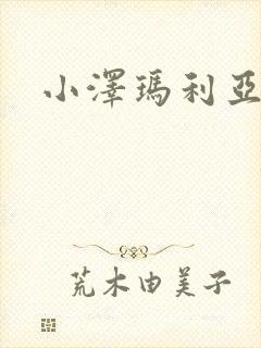 小泽玛利亚作品