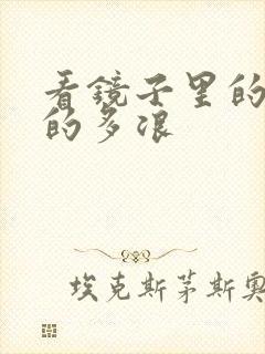 看镜子里的你叫的多浪