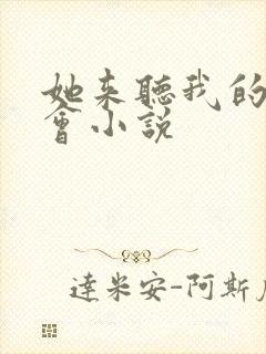 她来听我的演唱会小说