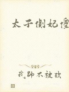 太子侧妃傻乎乎