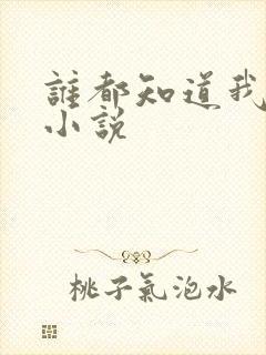 谁都知道我爱你小说