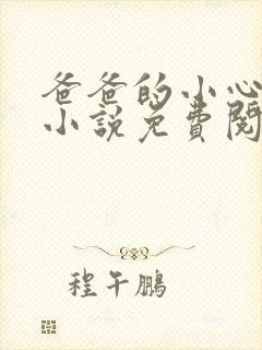 爸爸的小心肝儿小说免费阅读