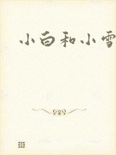 小白和小雪