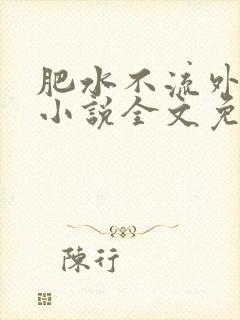 肥水不流外人田小说全文免费阅读1