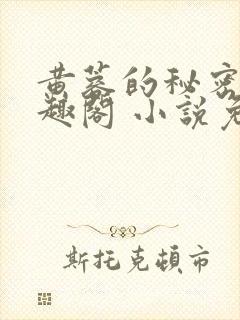 黄蓉的秘密 笔趣阁 小说免费阅读下载