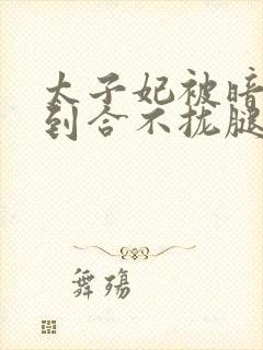 太子妃被暗卫C到合不拢腿