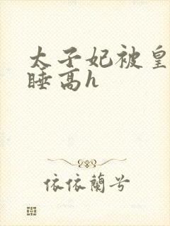 太子妃被皇上强睡高h