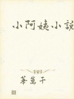 小阿姨小说