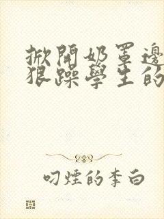 掀开奶罩边躁狠狠躁学生的小文字