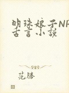 明珠娘子NPC古言小说