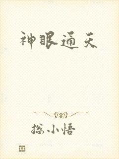 神眼通天