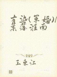 有染(军婚)/叶落淮南