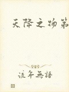 天降之物第一季