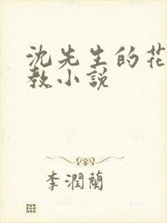 沈先生的花式管教小说