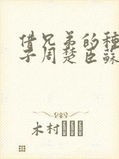 借兄弟的种生孩子周楚臣苏糖