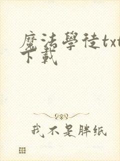魔法学徒txt下载