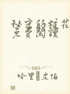 秘密的校花小说免费阅读