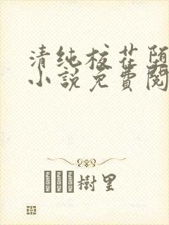 清纯校花堕落记小说免费阅读