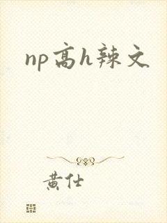 np高h辣文