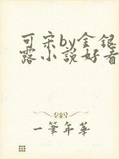 可宋by金银花露小说好看吗