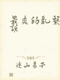 最爽的乱系列小说