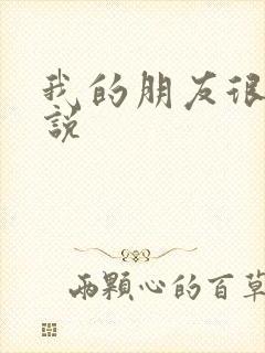 我的朋友很少小说