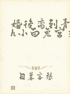 婚后脔到青梅哭h小白兔宫交h