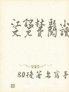 江铭林熙小说全文免费阅读