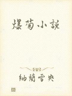 爆菊小说