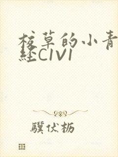 校草的小青梅不经C1V1