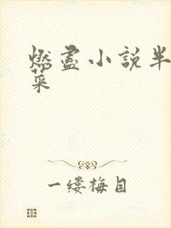 燃尽小说半截白菜