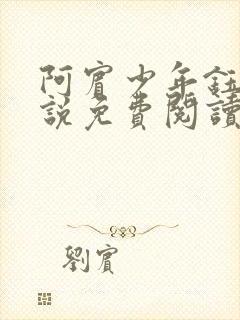 阿宾少年钰慧小说免费阅读笔趣阁