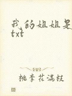我的姐姐是美女txt