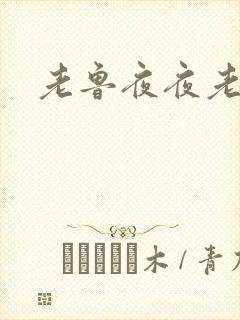 老鲁夜夜老鲁