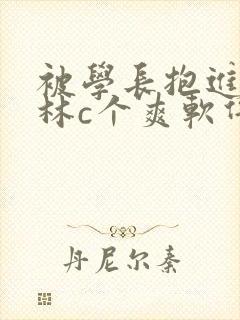 被学长抱进小树林c个爽软件