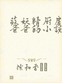 苏妖精厨房爹爹爸爸的小说