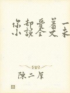 你却爱着一个他小说全文未删减免费