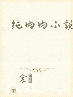 纯肉肉小说